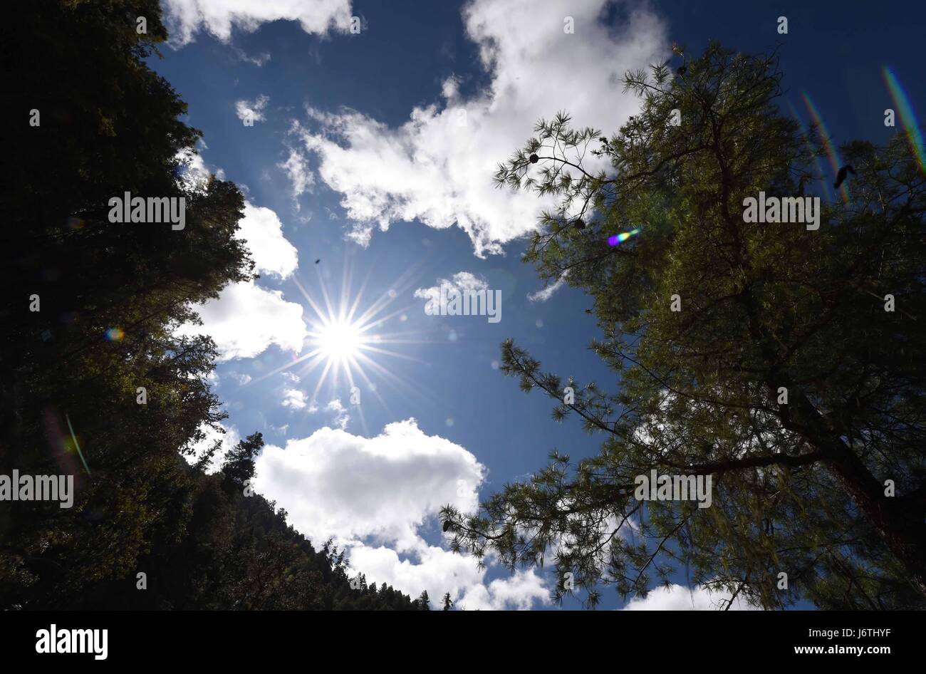 Three Parallel Rivers Map Three parallel rivers hi-res stock photography and images - Alamy
