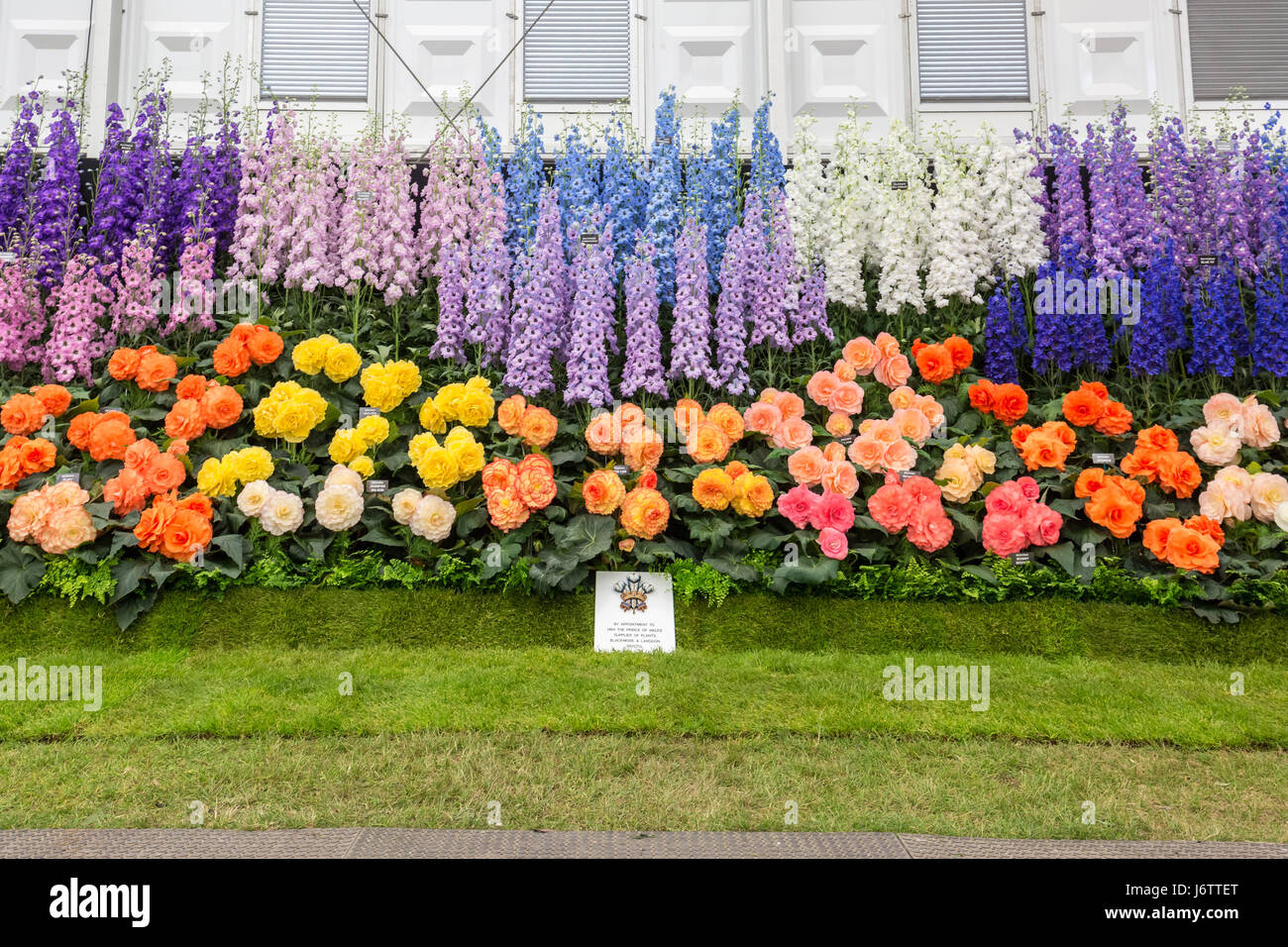 London, UK. 22nd May, 2017. RHS Chelsea Flower Show © Guy Corbishley/Alamy Live News Stock Photo