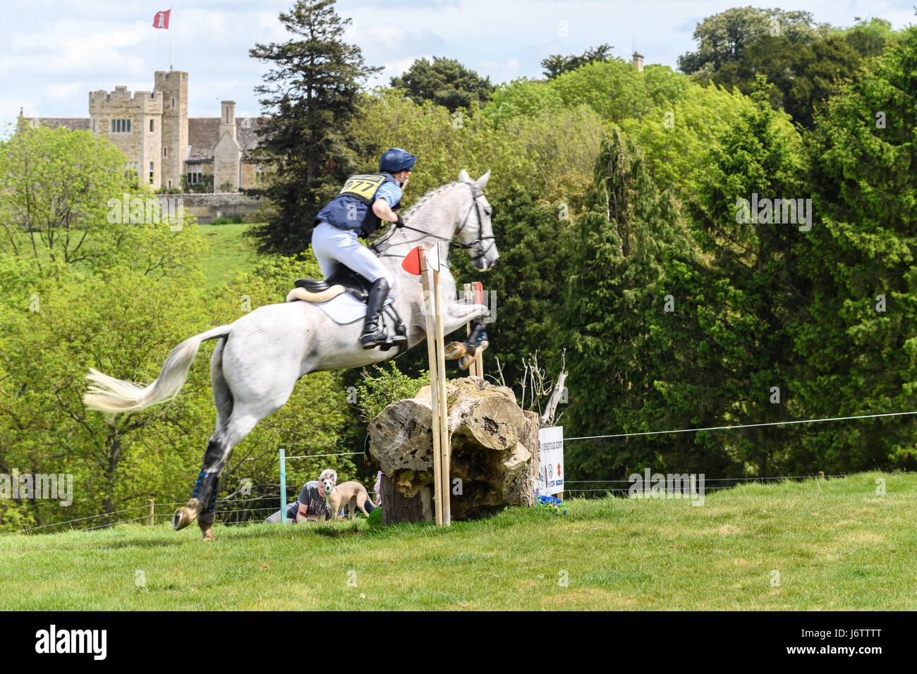 Rockingham Castle, Corby, UK. 21st May, 2017. Jack Ashworth and his horse Kafka clear a log obstacle with Rockingham castle in the background on a sunny day during the cross country phase of the Rockingham International Horse Trials in the grounds of the Norman castle at Rockingham, Corby, England on 21st May 2017. Credit: miscellany/Alamy Live News Stock Photo