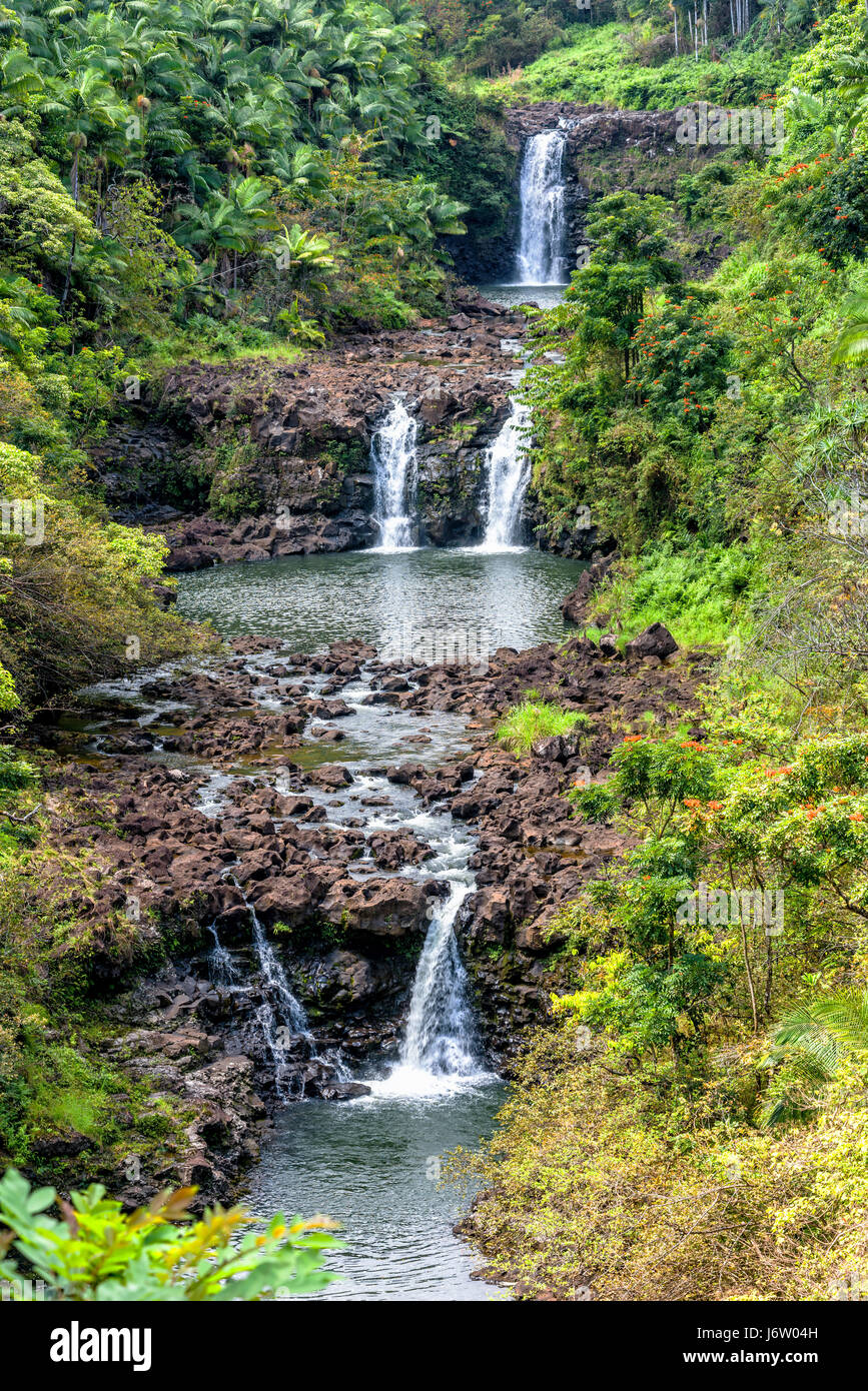 A vibrant image of Umauma Falls in Hawaii shows the three tier cascade of a beautiful natural wonder Stock Photo