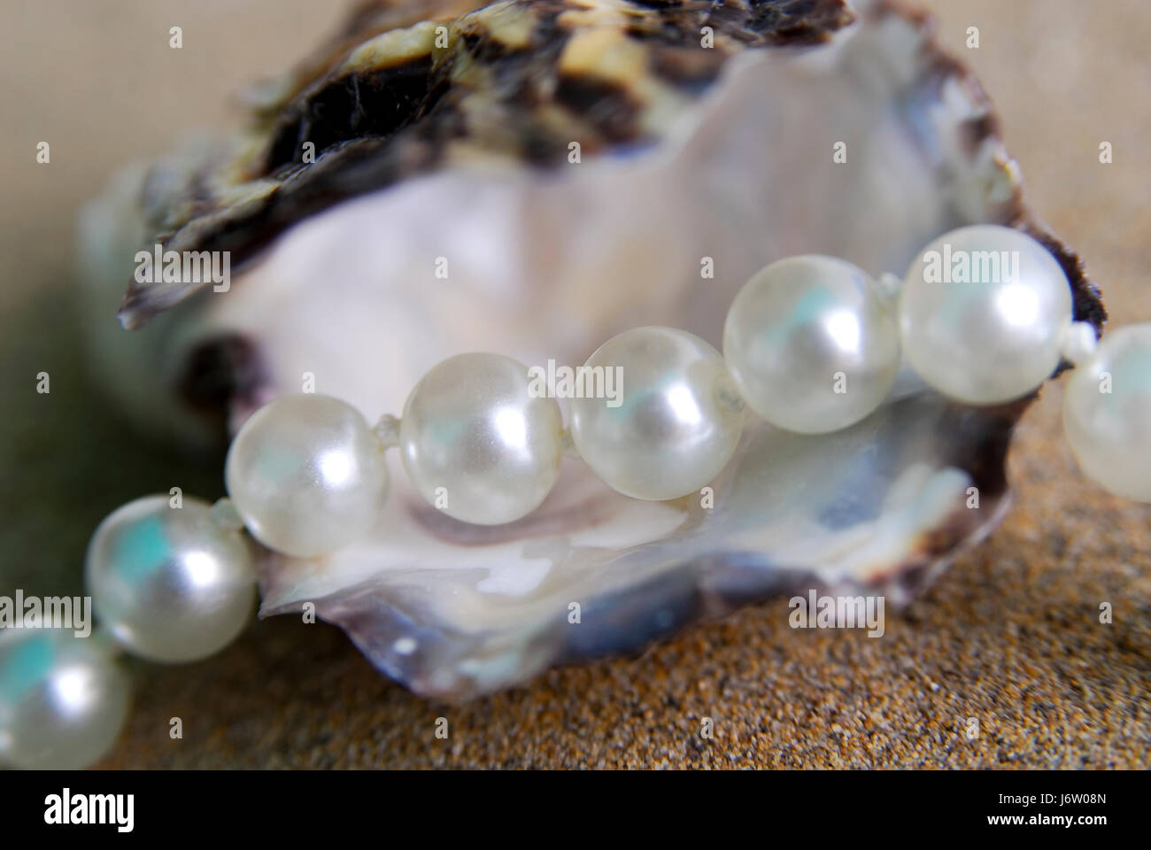 Valuable pearl sale