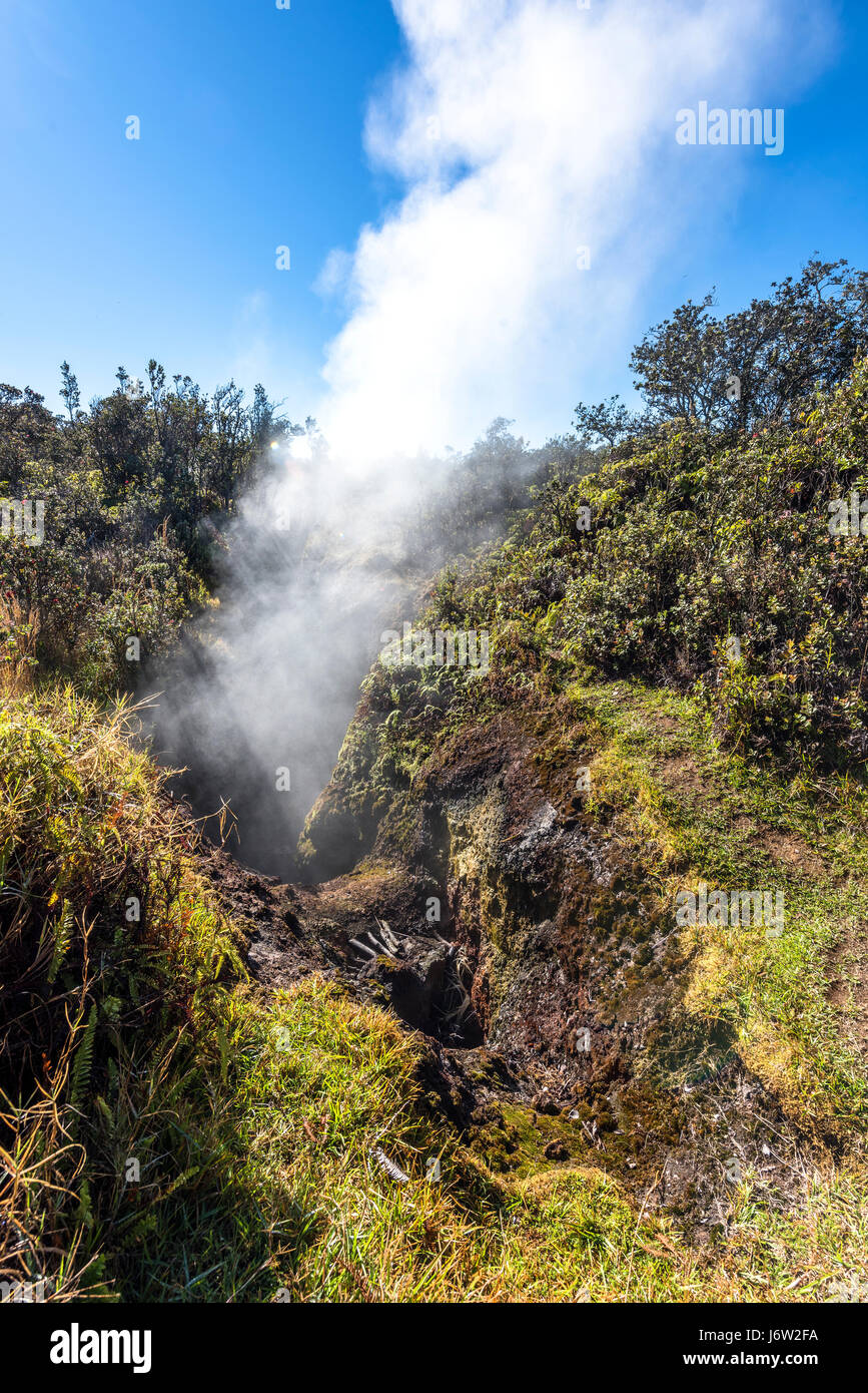 Natural steam rising from a volcanic steam vent in the earth at Volcano National Park, Kilauea