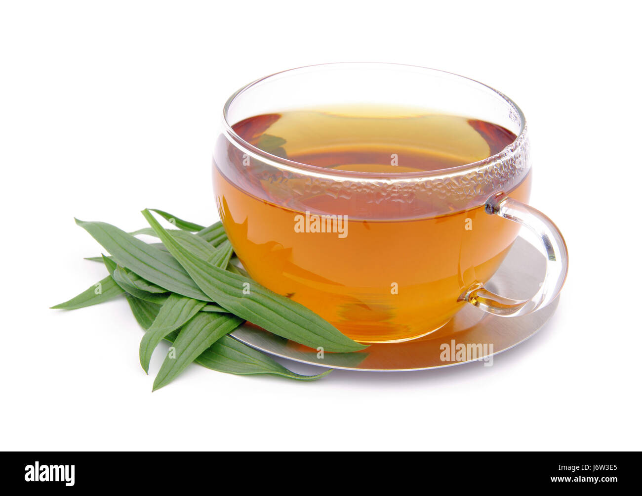 tea herb tea cup glass chalice tumbler tea leaf drink green leaves herb