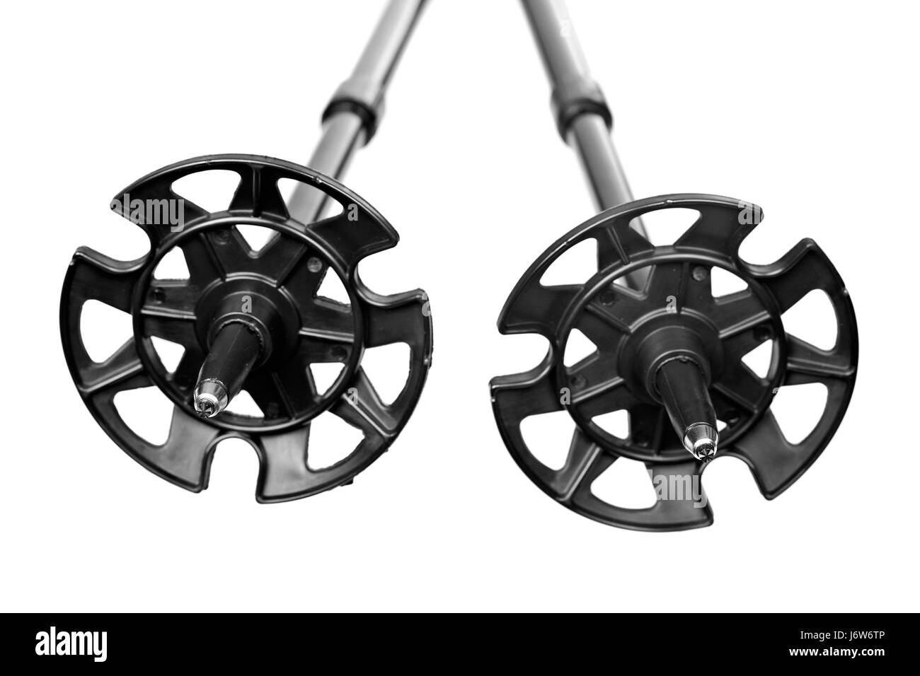 Walking stick feet Black and White Stock Photos & Images Alamy