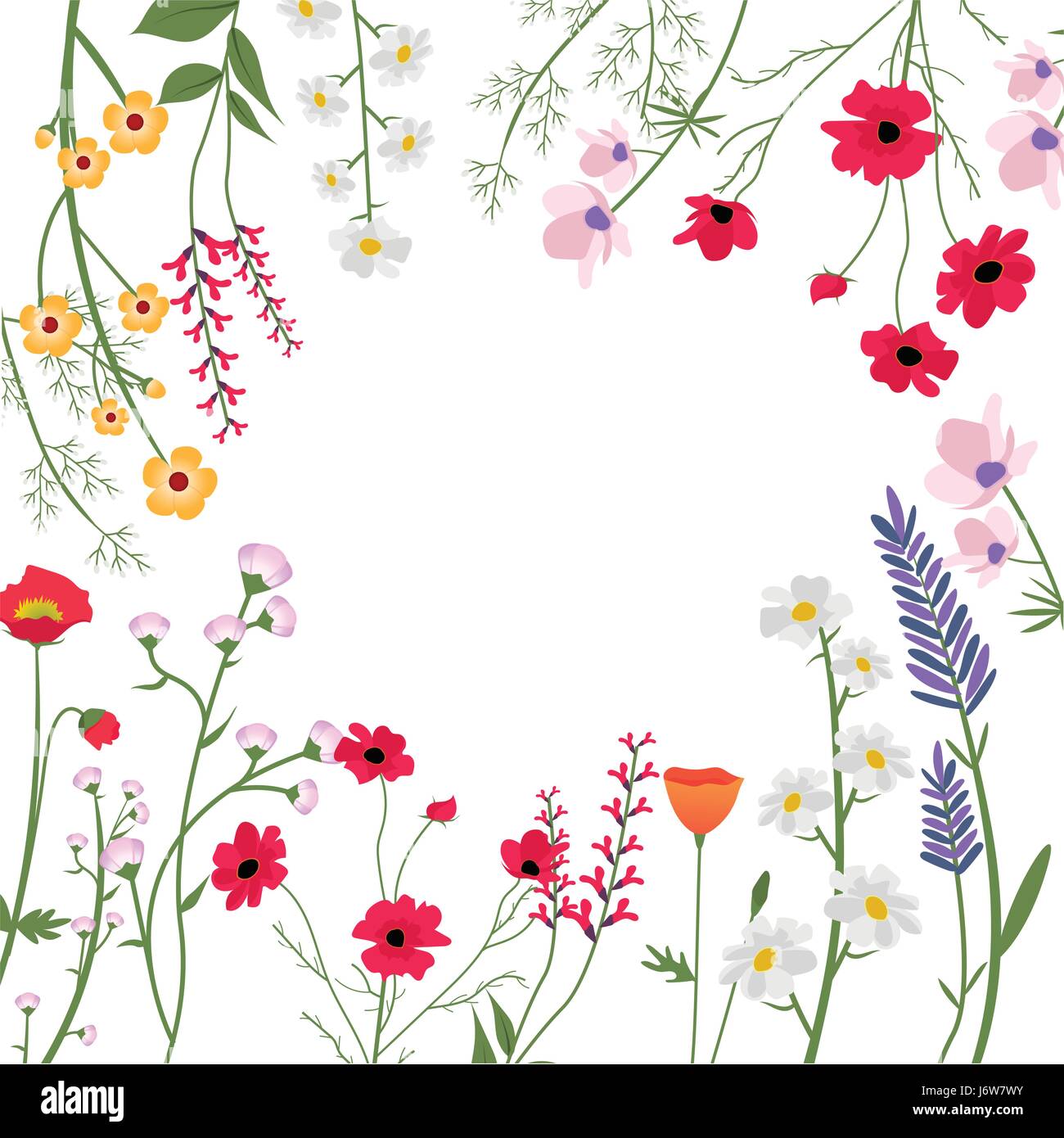 Wild Flowers Vector Illustration Stock Vector Image & Art - Alamy