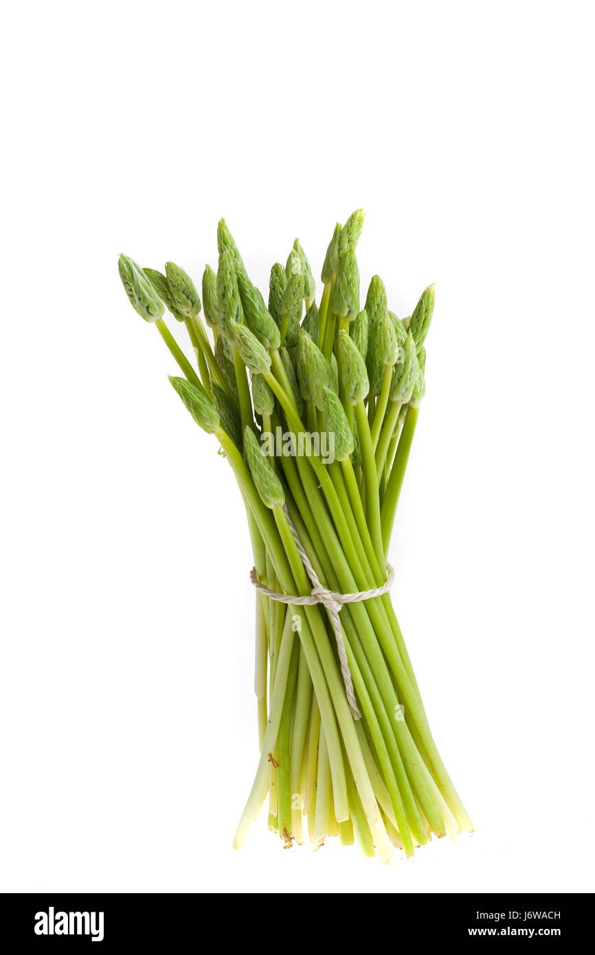 wild green asparagus isolated on white Stock Photo