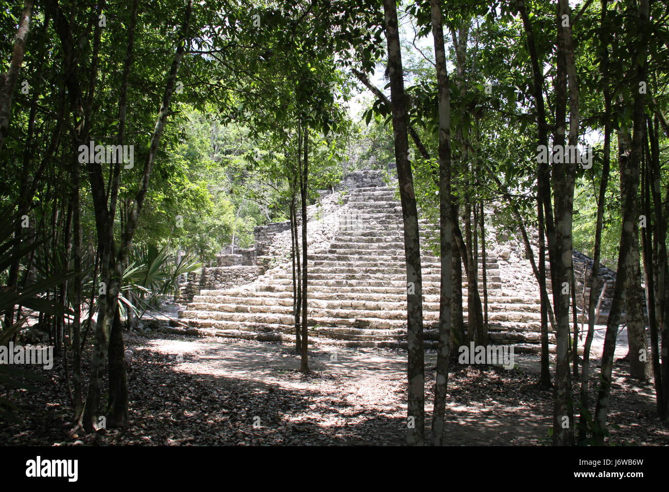 coba mayan ruins Stock Photo - Alamy