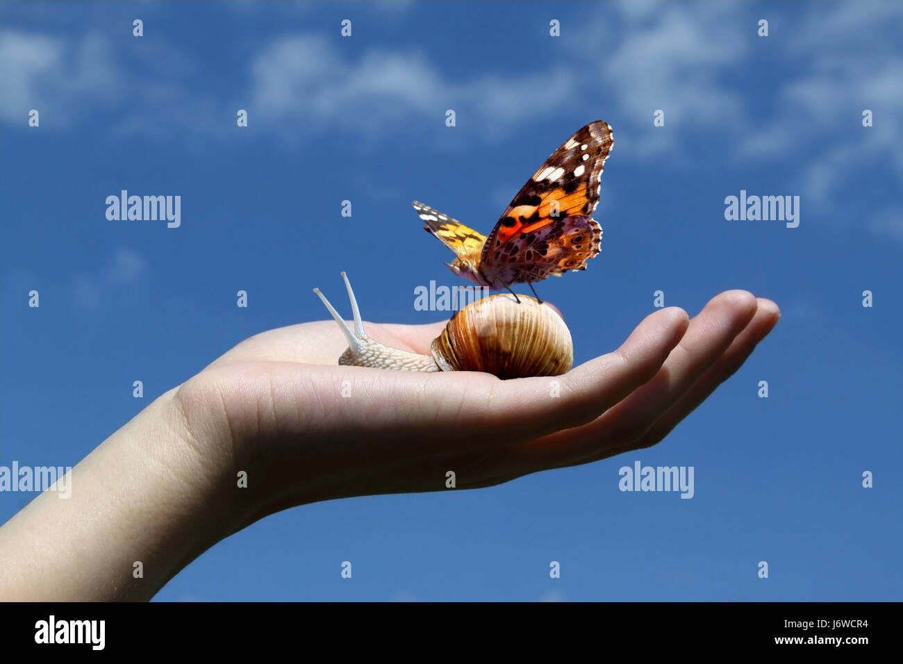 hand with animals Stock Photo - Alamy