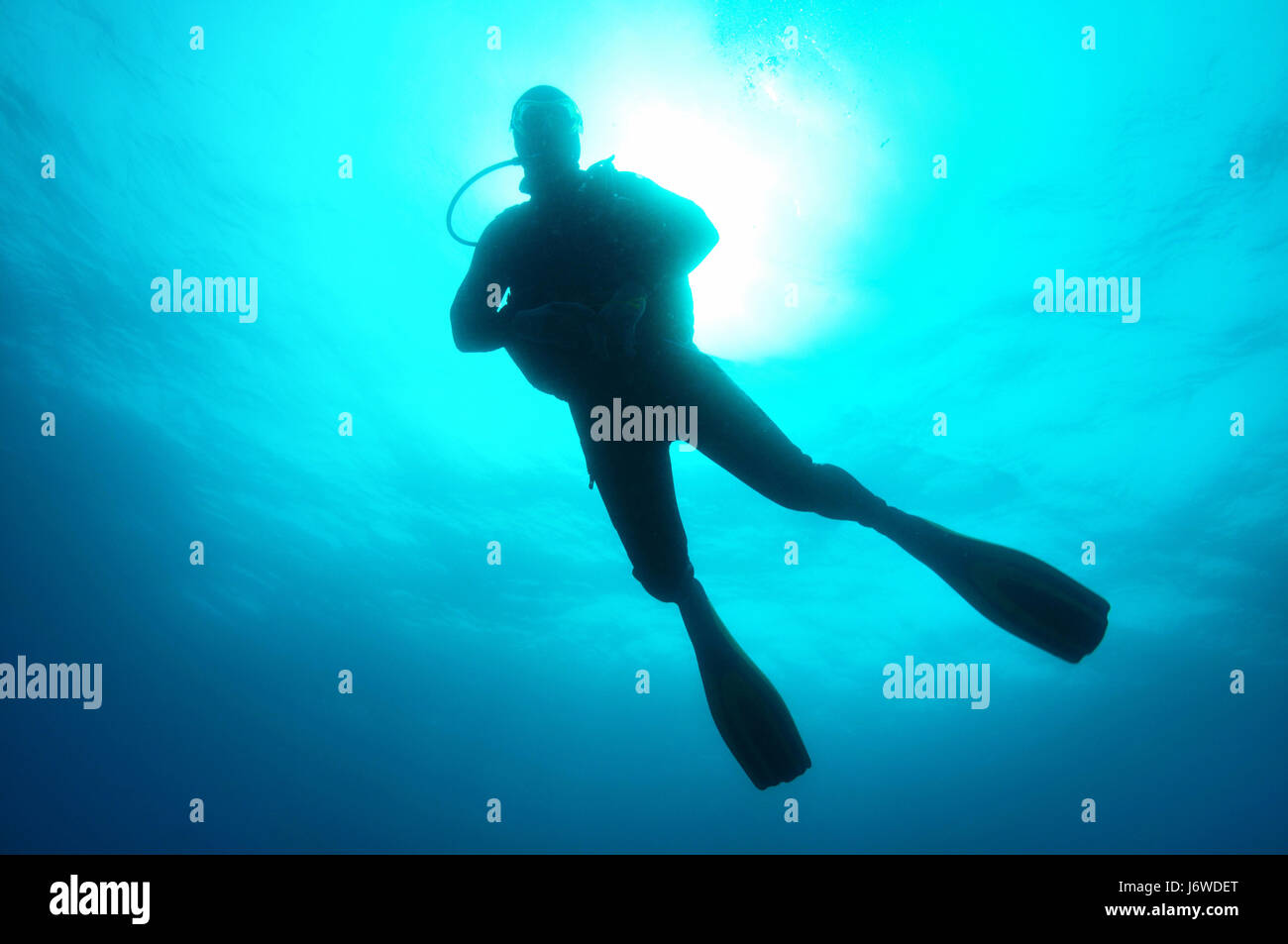 woman underwater dive diver man swimming swiming swim swims to do the crawl Stock Photo