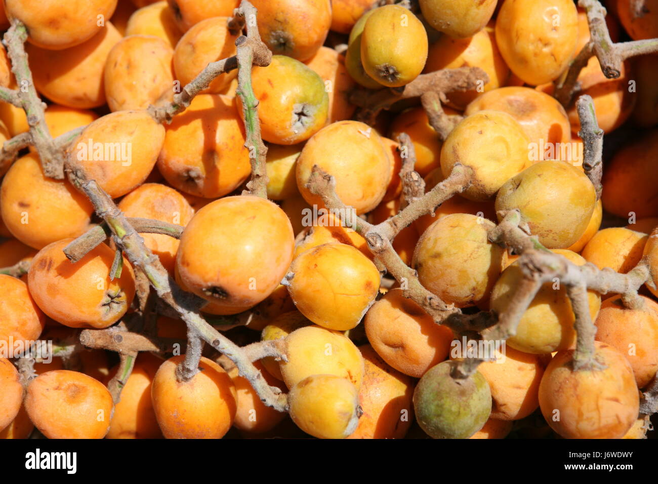 Nisperos hires stock photography and images Alamy