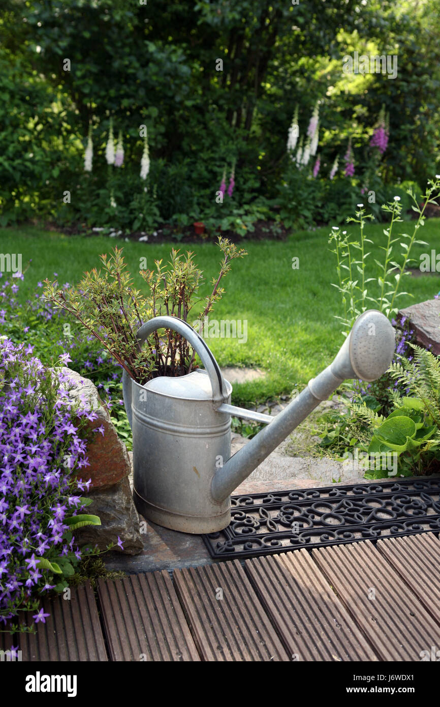 zinc watering can in the garden Stock Photo