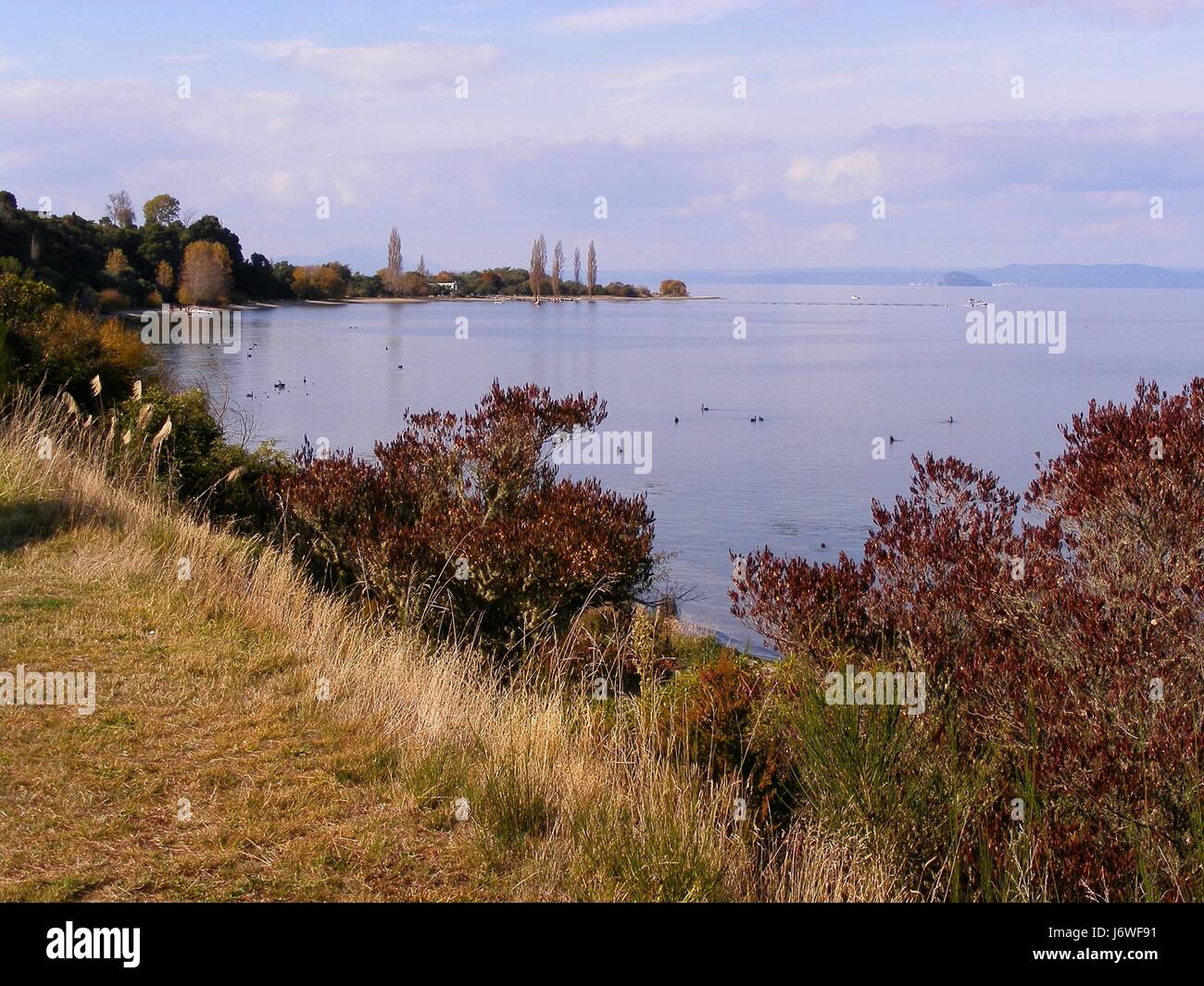 new zealand salt water sea ocean water mountain vulcan volcano fall autumn blue Stock Photo