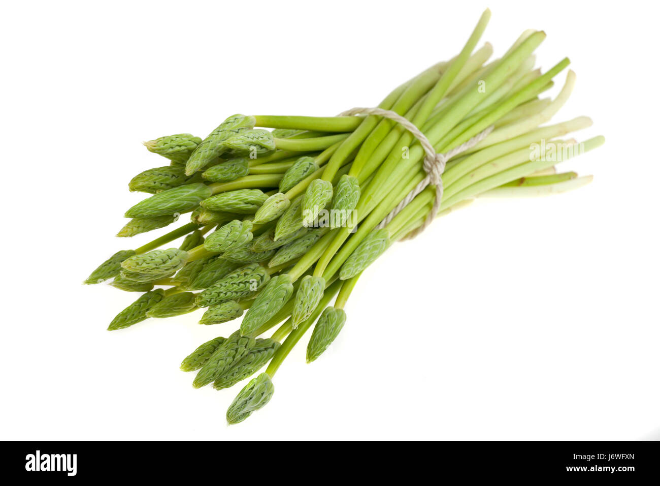 bunch of wild asparagus green Stock Photo