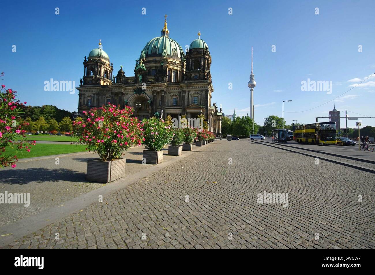 berliner dom cathedral square and with oleander Stock Photo