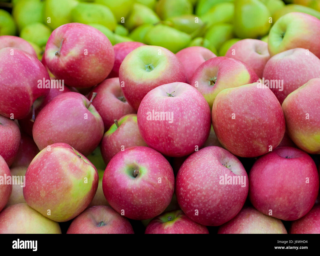 apple and pear filling the picture Stock Photo Alamy