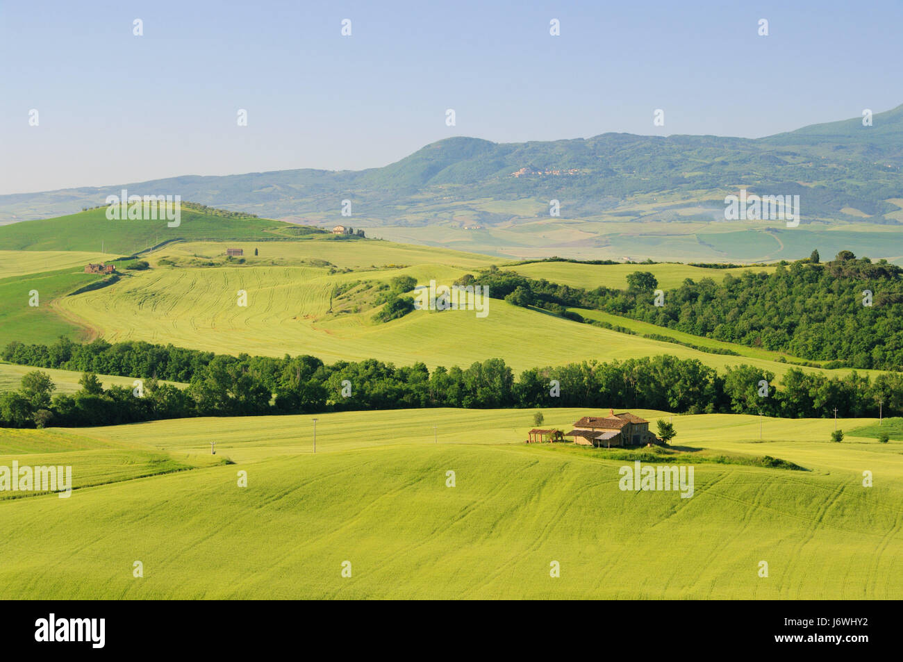 tuscan hills tuscany hills 30 Stock Photo Alamy