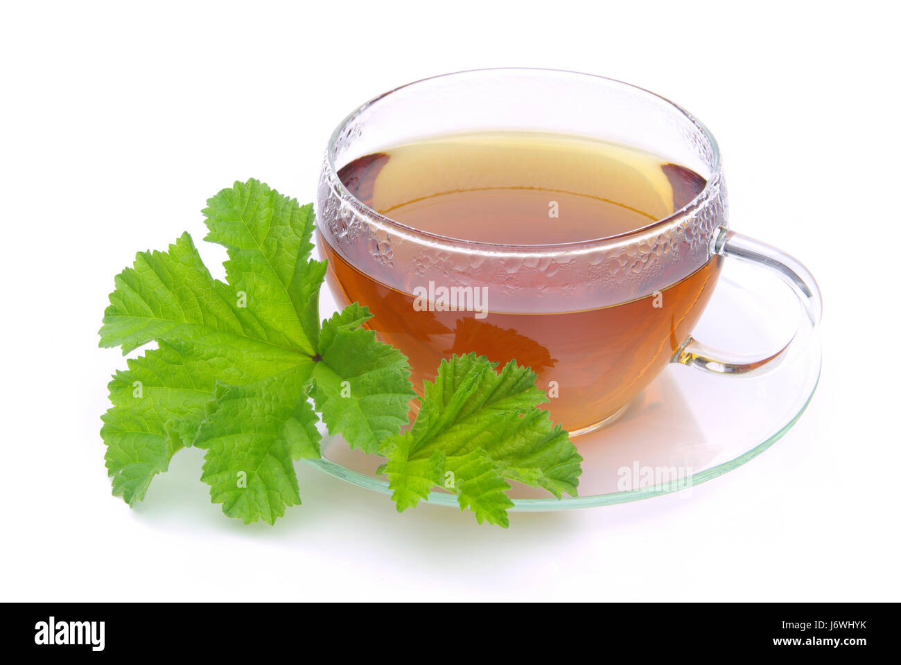 Tea Malbasic tee malve - tea malva 03 Stock Photo - Alamy