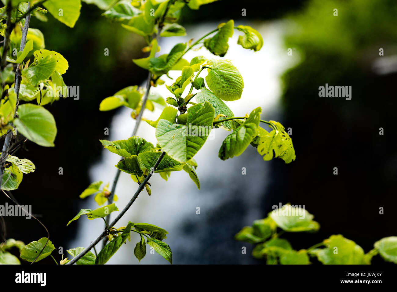 Twin lakes waterfall hi-res stock photography and images - Alamy