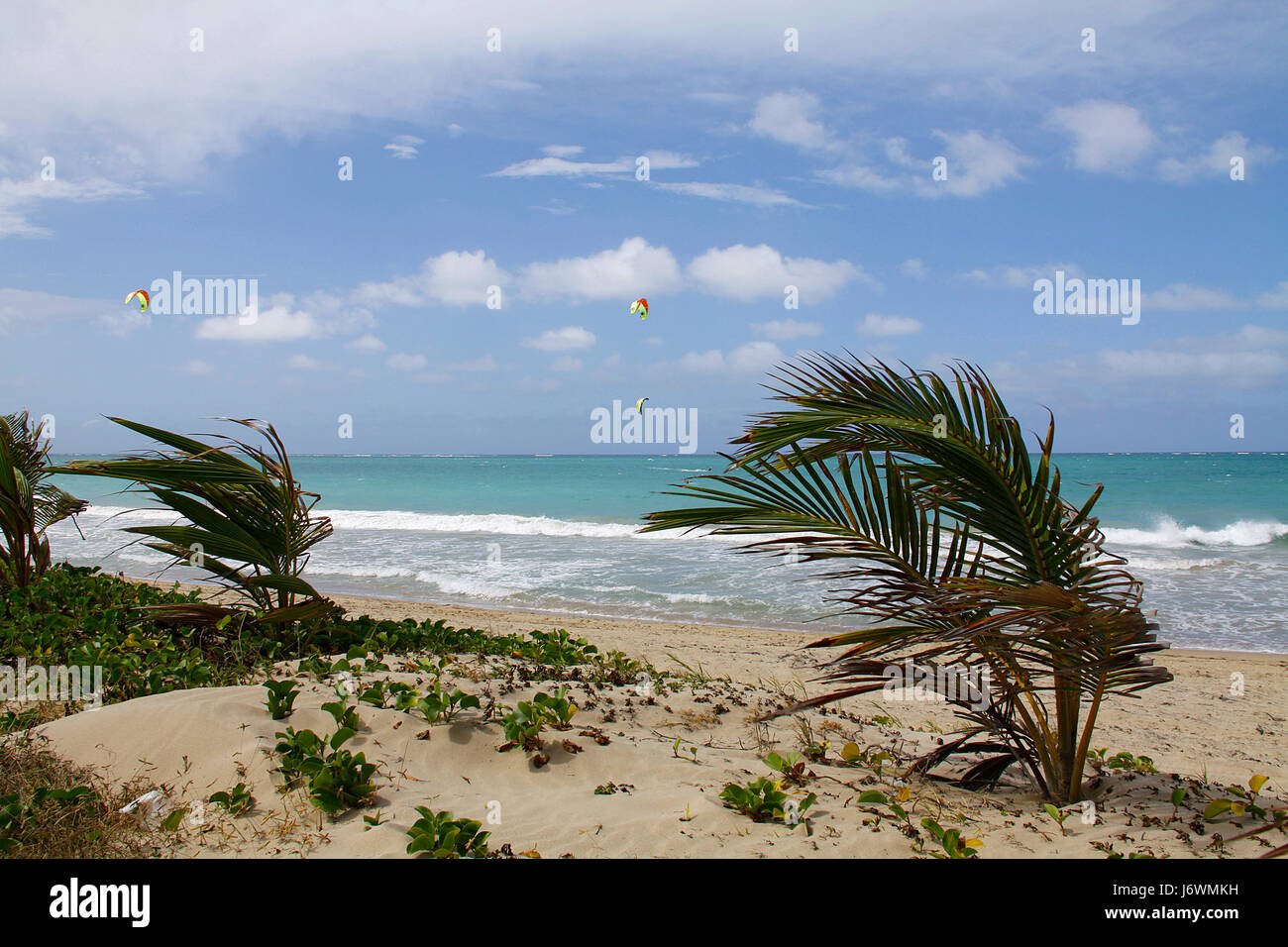 puerto rico isla verde Stock Photo Alamy