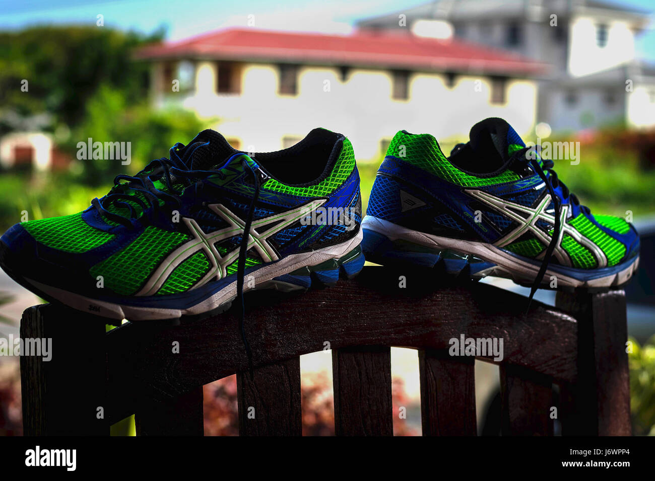 asics shoes dubai mall