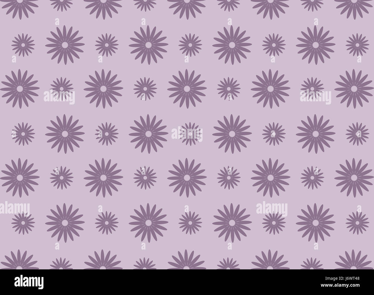 flower plant purple daisy pattern seamless damask texture beautiful beauteously Stock Photo