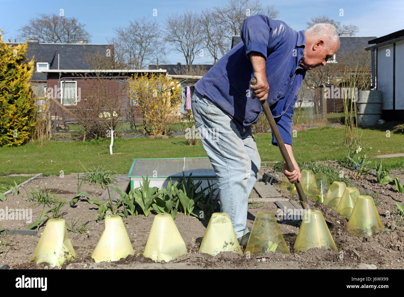 senior in the garden Stock Photo - Alamy
