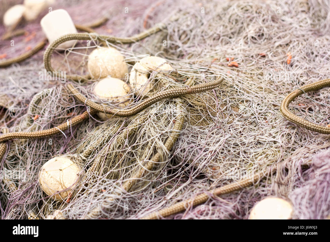 Trawler net full of fish hi-res stock photography and images - Alamy