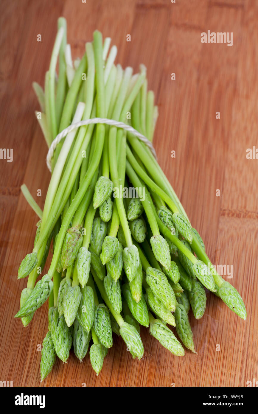 bunch of wild asparagus green Stock Photo
