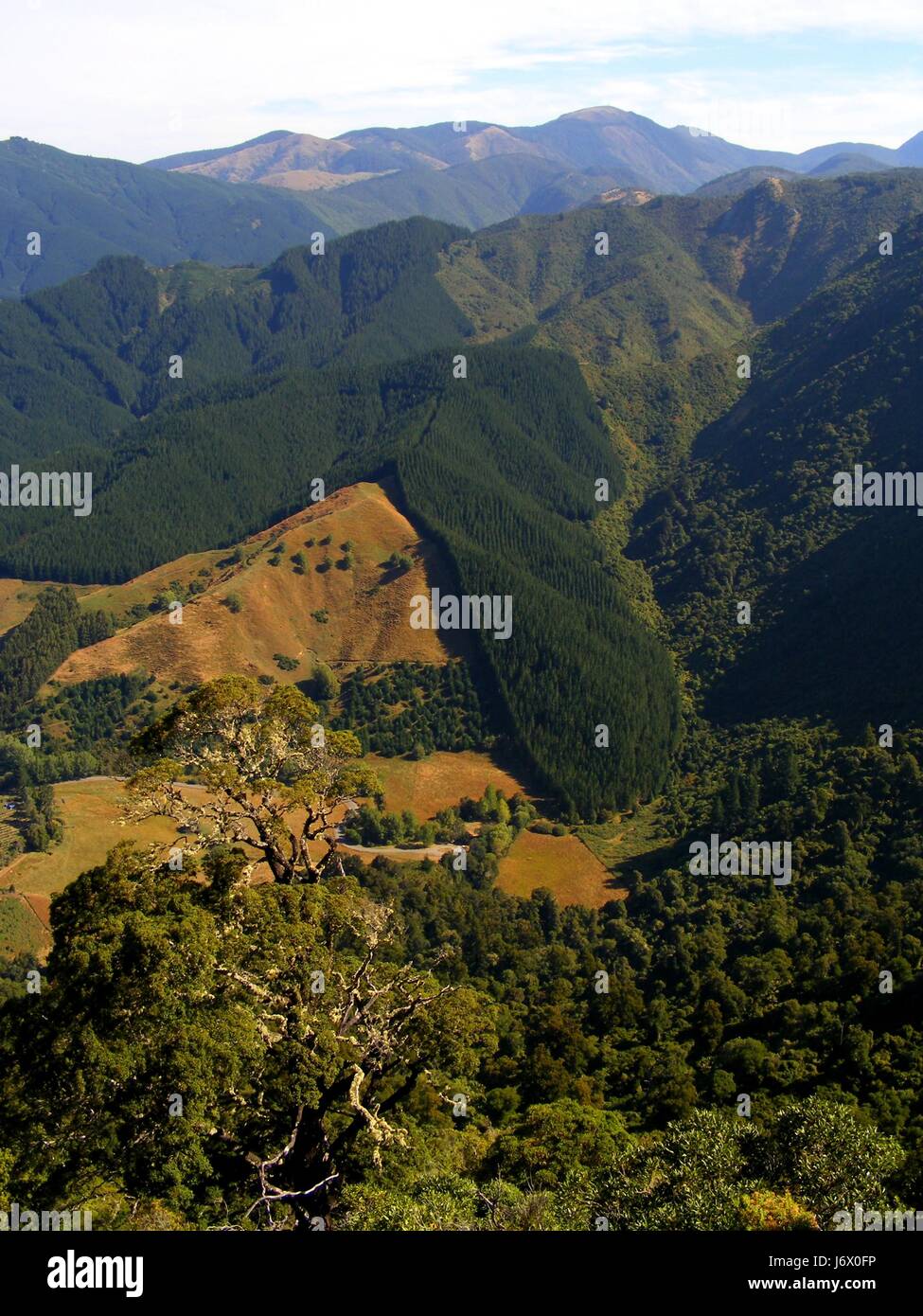 WHANGANUI NATIONAL PARK visual data 3