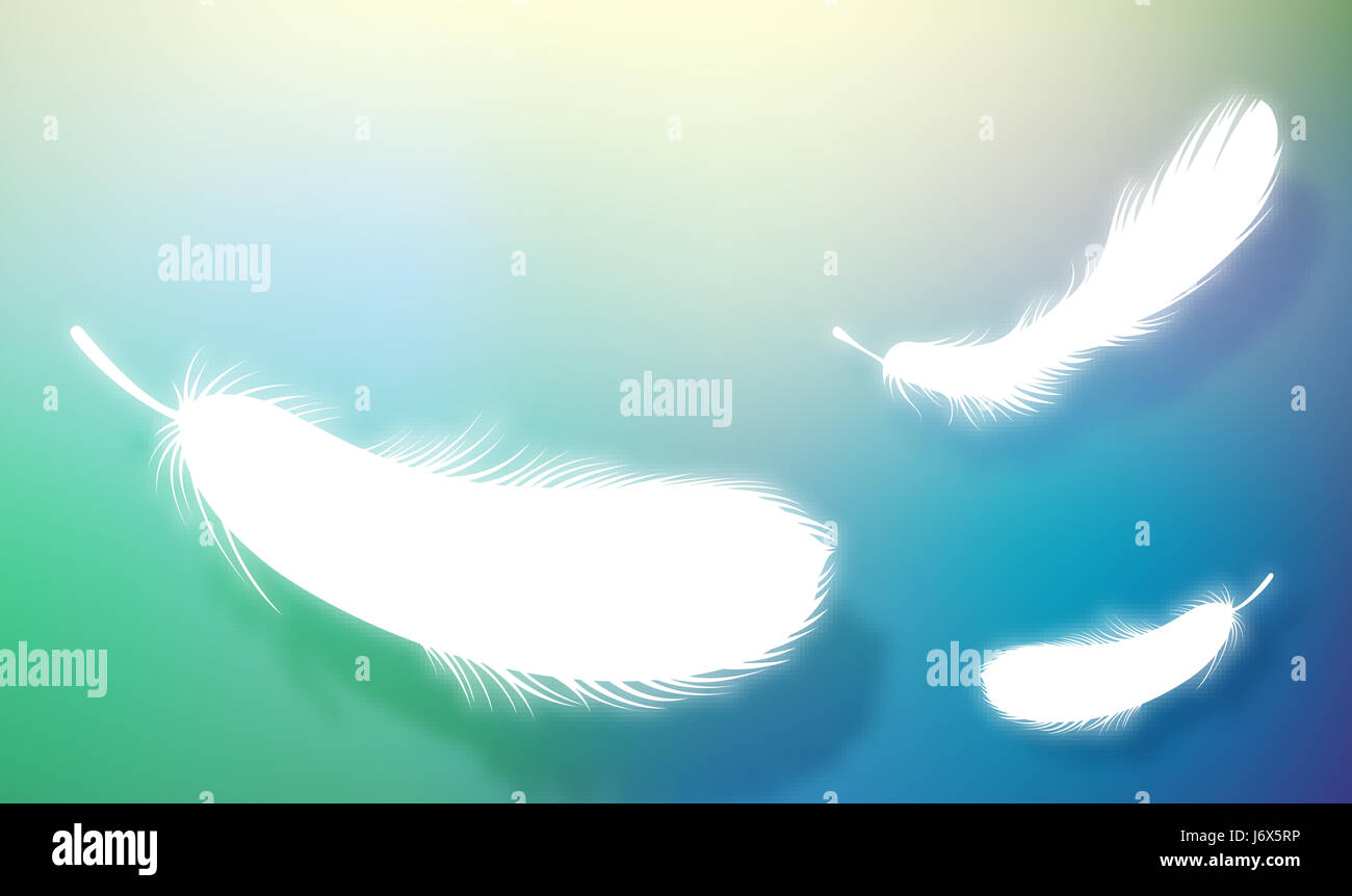 blue soft feather backdrop background white purity close blue beautiful