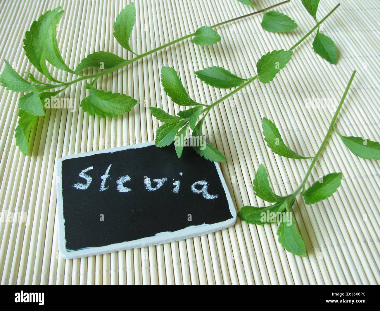 stevia,sweet herb with name board Stock Photo Alamy