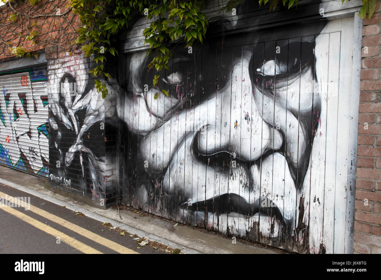 James Brown Graffiti Art On An Old Garage Door King And Creator