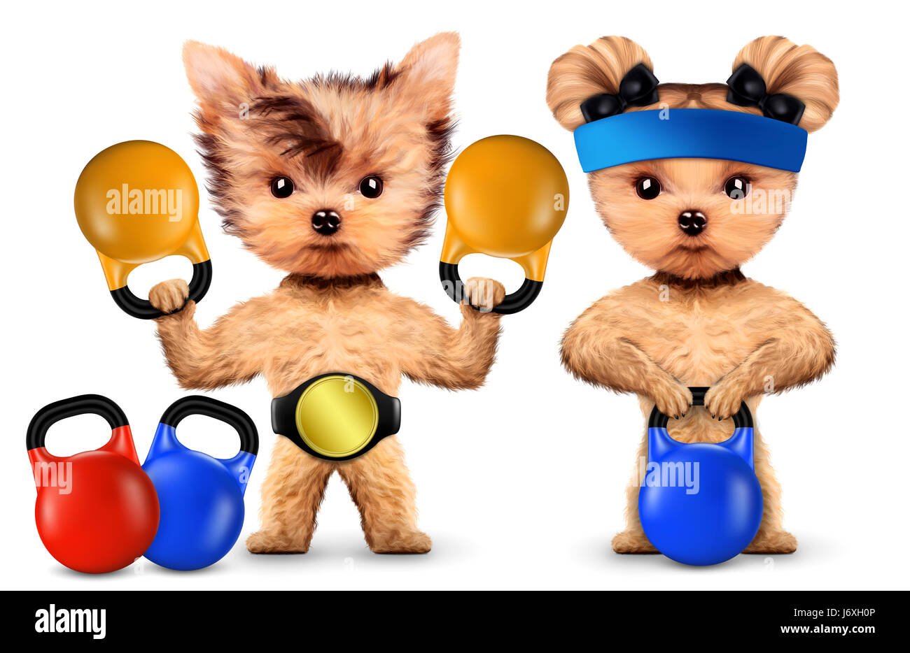 Funny dogs training with kettlebells in sport gym Stock Photo
