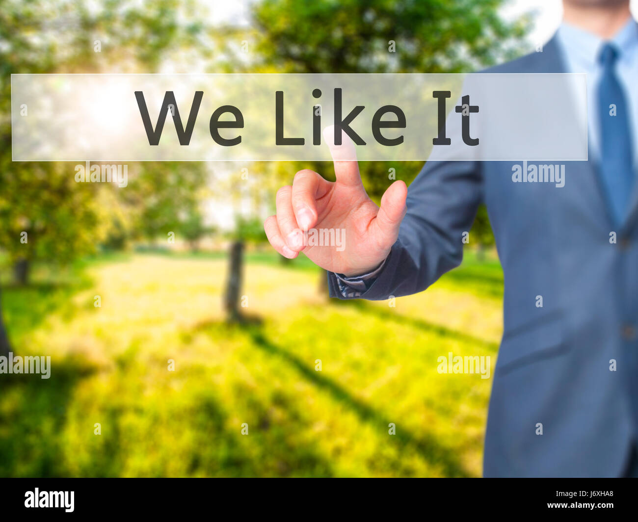 We Like It - Businessman hand pressing button on touch screen interface. Business, technology, internet concept. Stock Photo Stock Photo