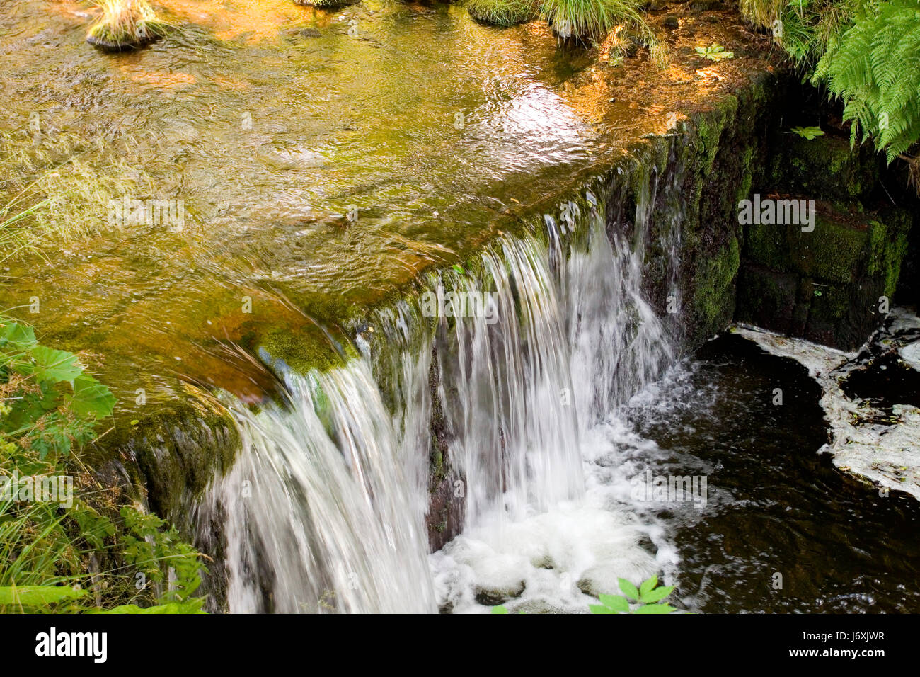 stream waterfall black forest health resort climatic spa forest leaf tree trees Stock Photo