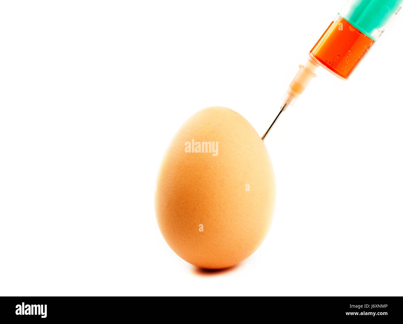 engineering research egg laboratory engineering medicine