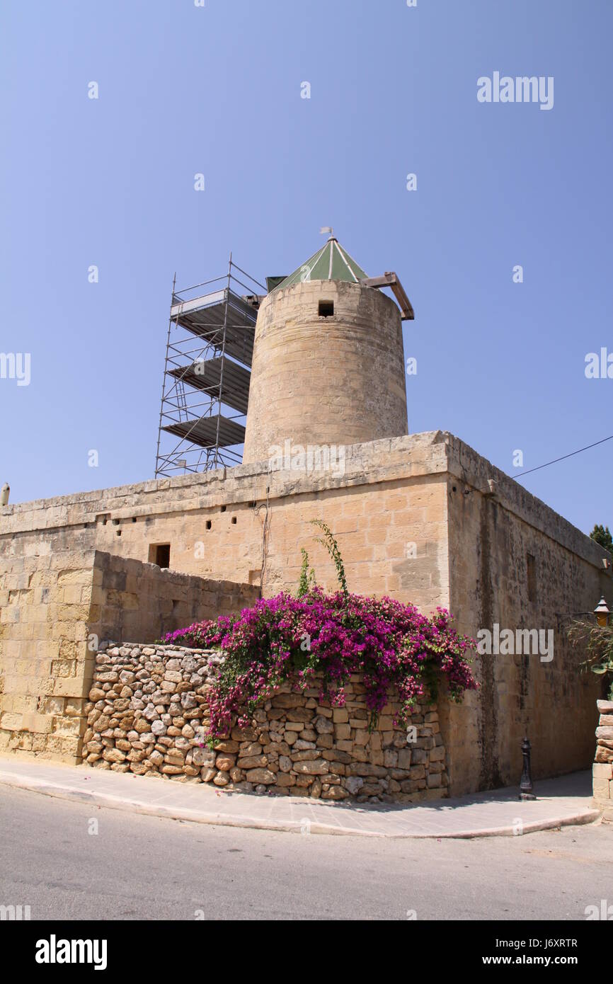 house building flower flowers plant old town wall pavement blue stairs travel Stock Photo