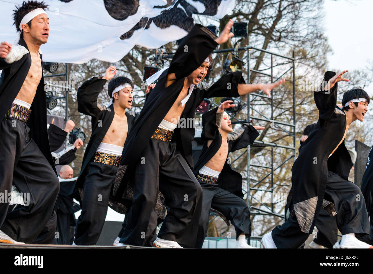 Yosakoi young male dancers in black happi coats and white headbands dancing on open-air stage in Kumamoto, Japan. Stock Photo