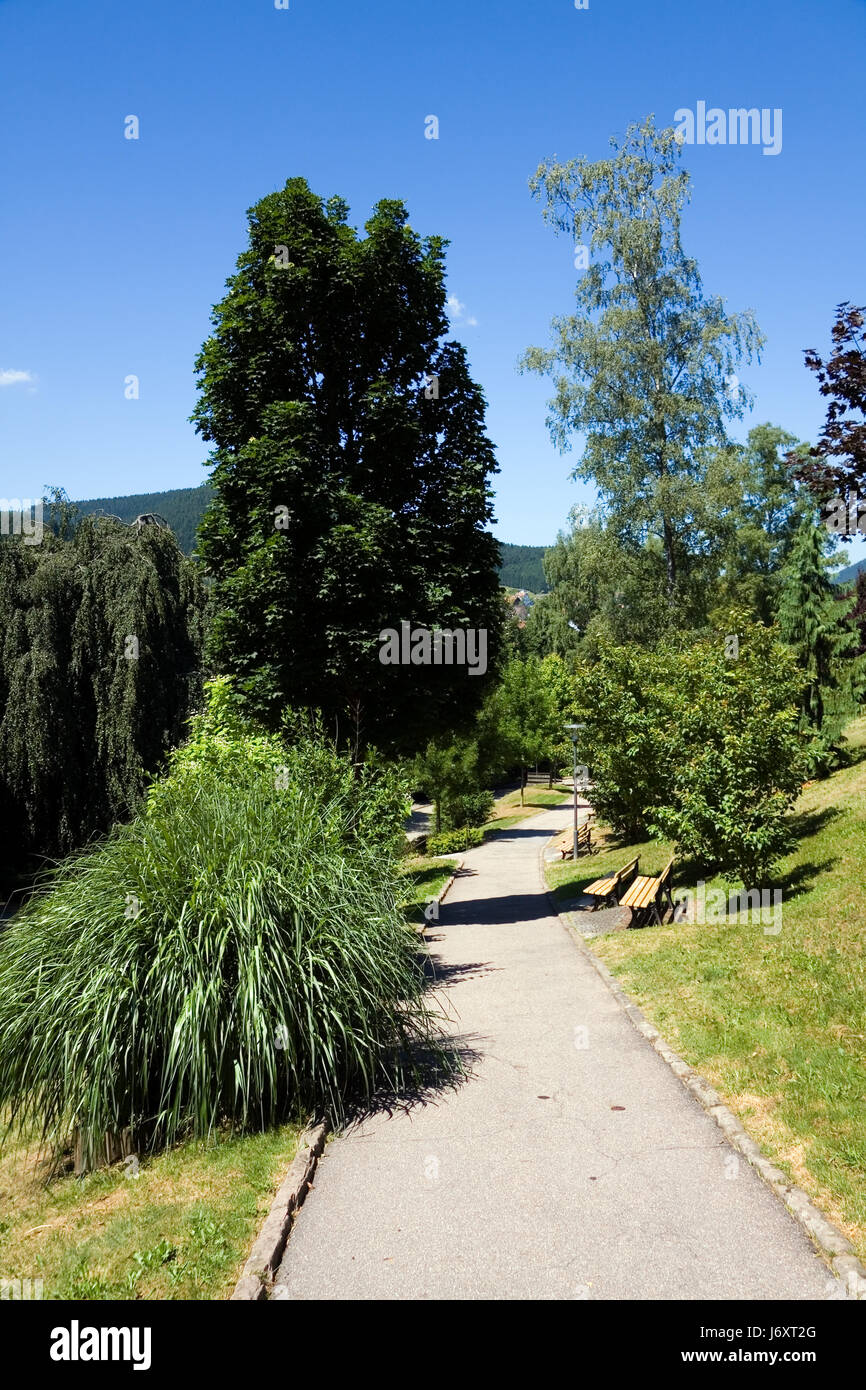park black forest health resort climatic spa path way mountain blue tree hill Stock Photo