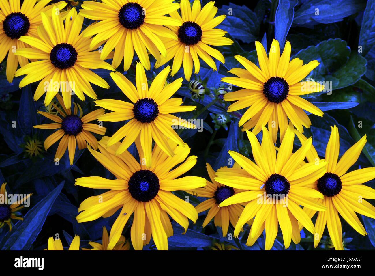 sun experiment i color match Stock Photo