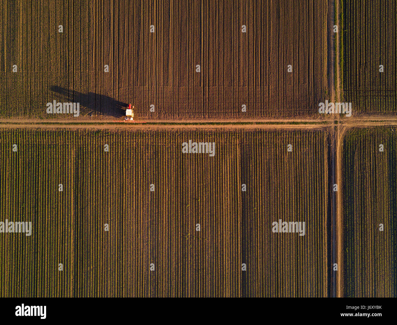 Aerial view of tractor in cultivated corn maize crop field, agricultural machinery with crop sprayer spraying pesticide chemical on plantation Stock Photo