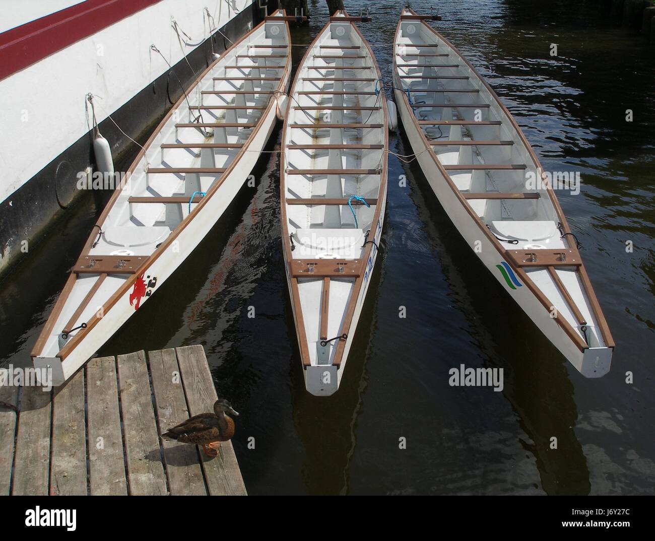 aquatic sport rowing boat oar regatta anchorage river water sailing