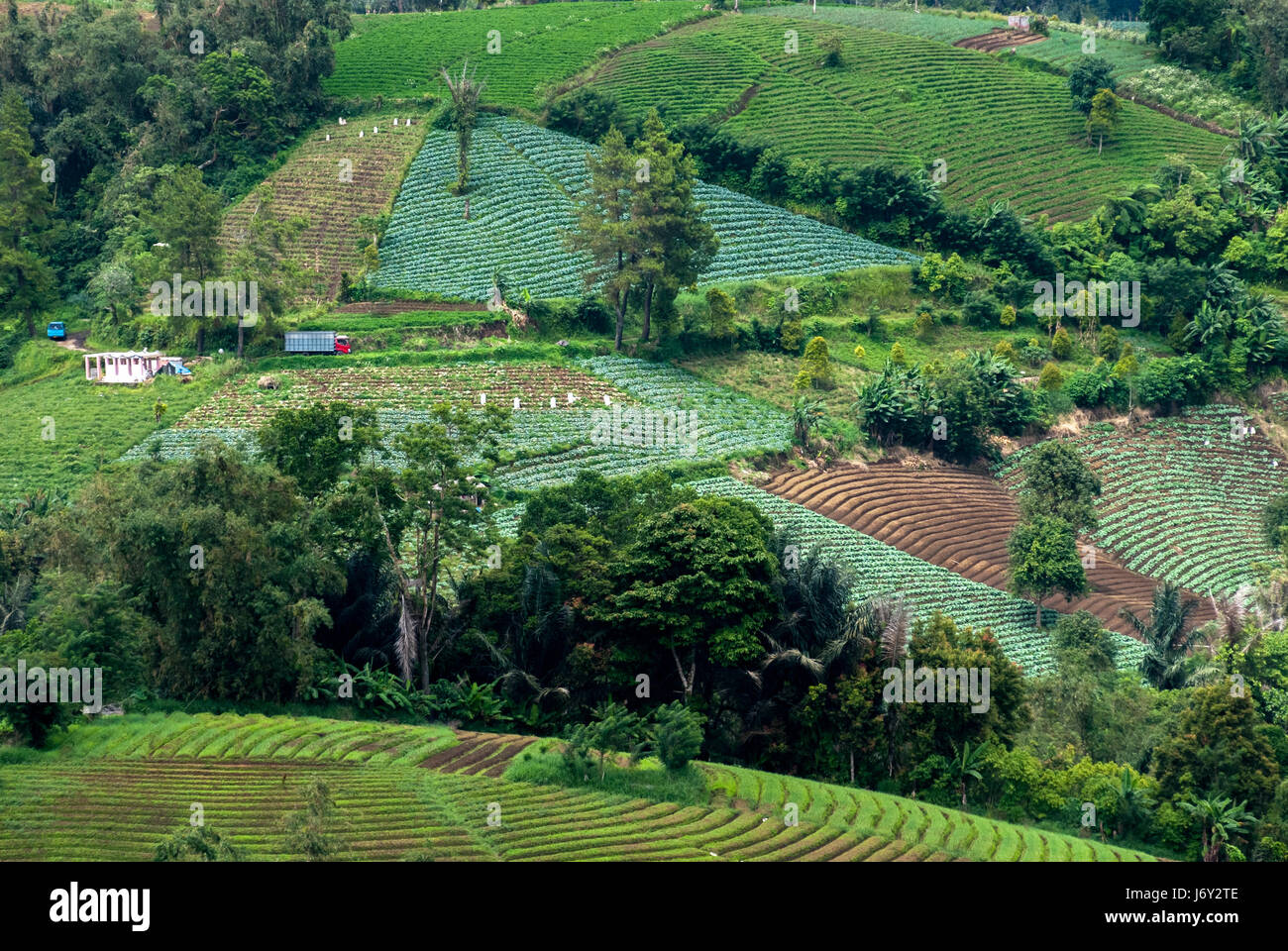 Agricultural terrain is seen from a viewing point in Rurukan village, East Tomohon, Tomohon, North Sulawesi, Indonesia. Stock Photo