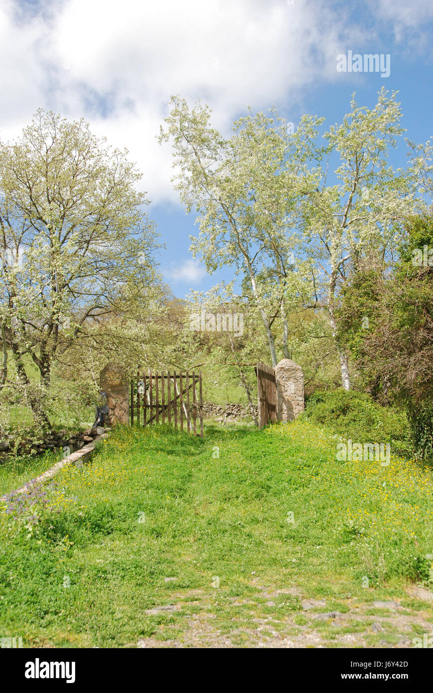 Luminous gates hi-res stock photography and images - Alamy