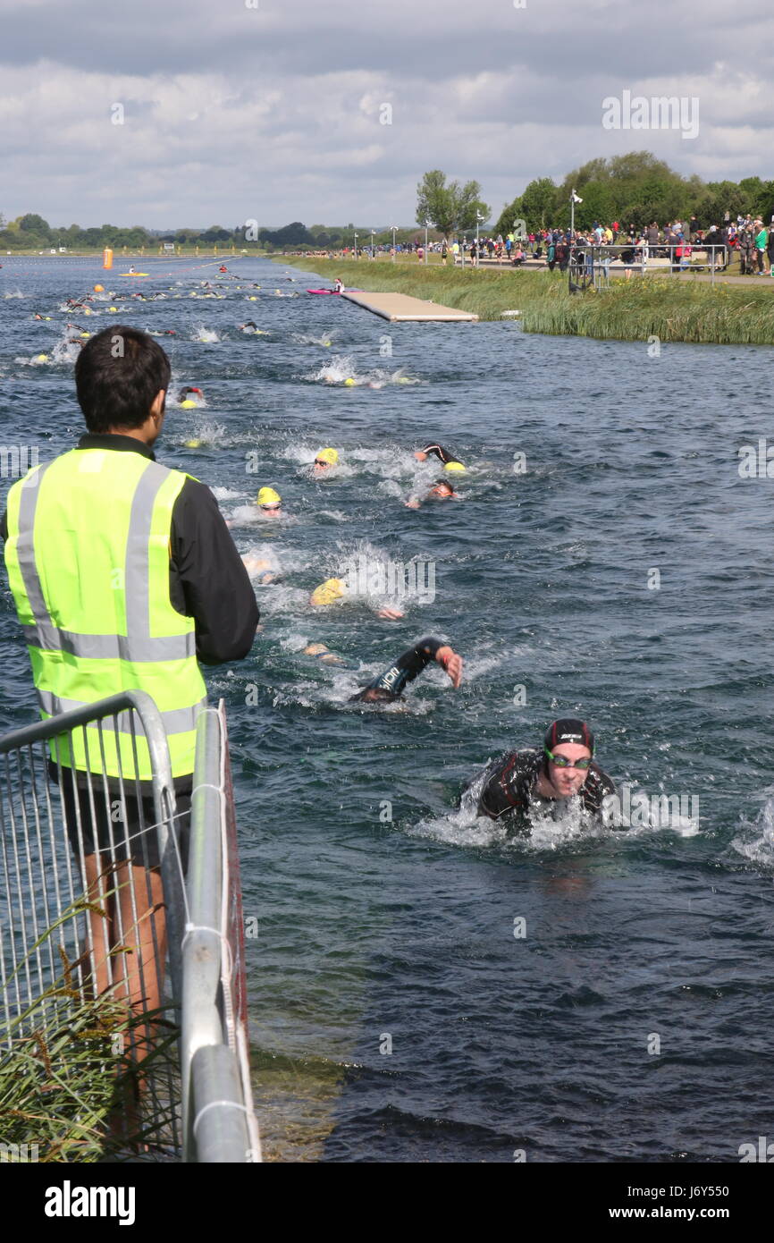 Swimmers prepare to leave Dorney Lake at the end of the swim leg of a triathlon. Stock Photo