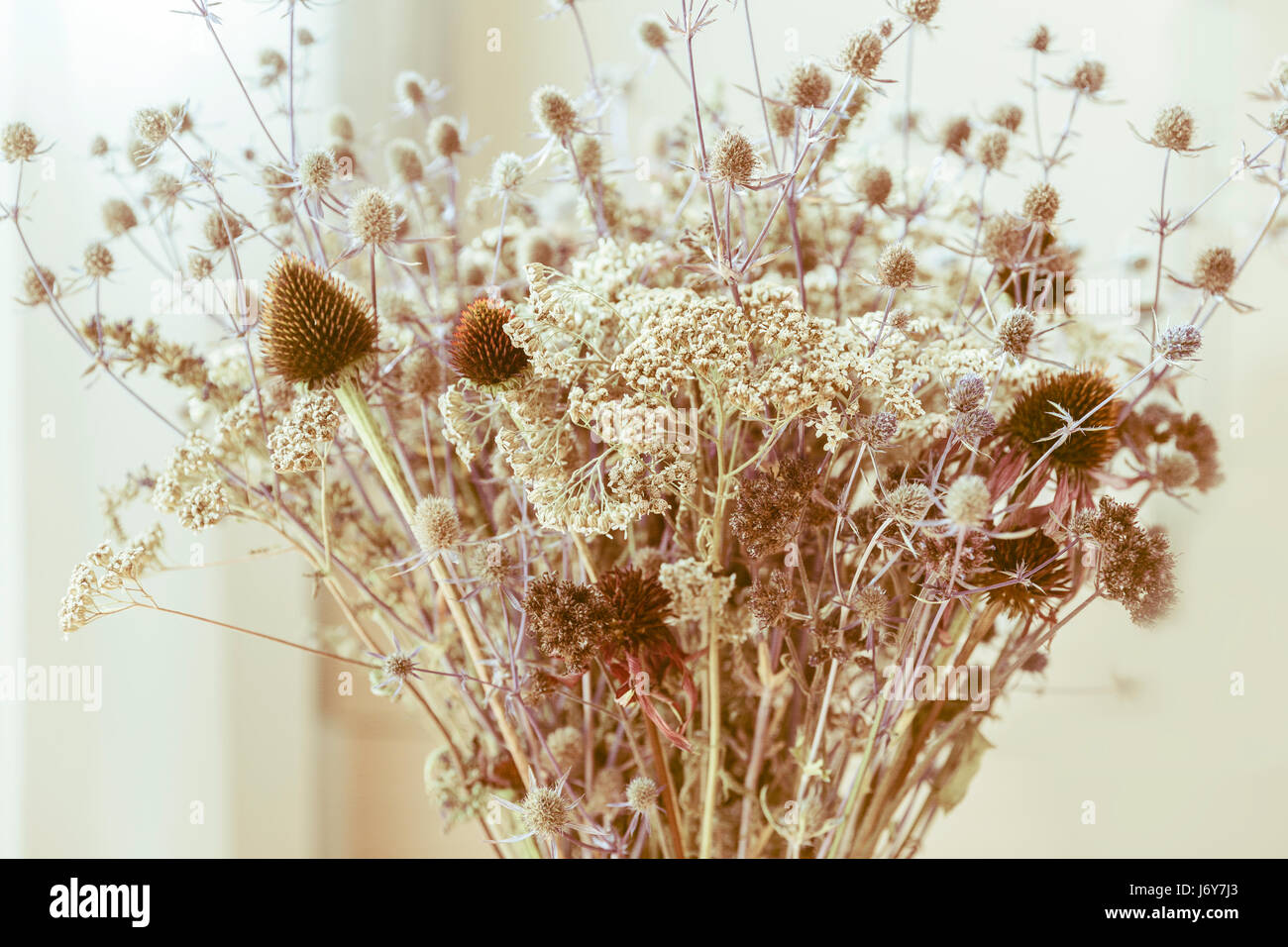 Bouquet of dried wildflowers with filter effect retro vintage