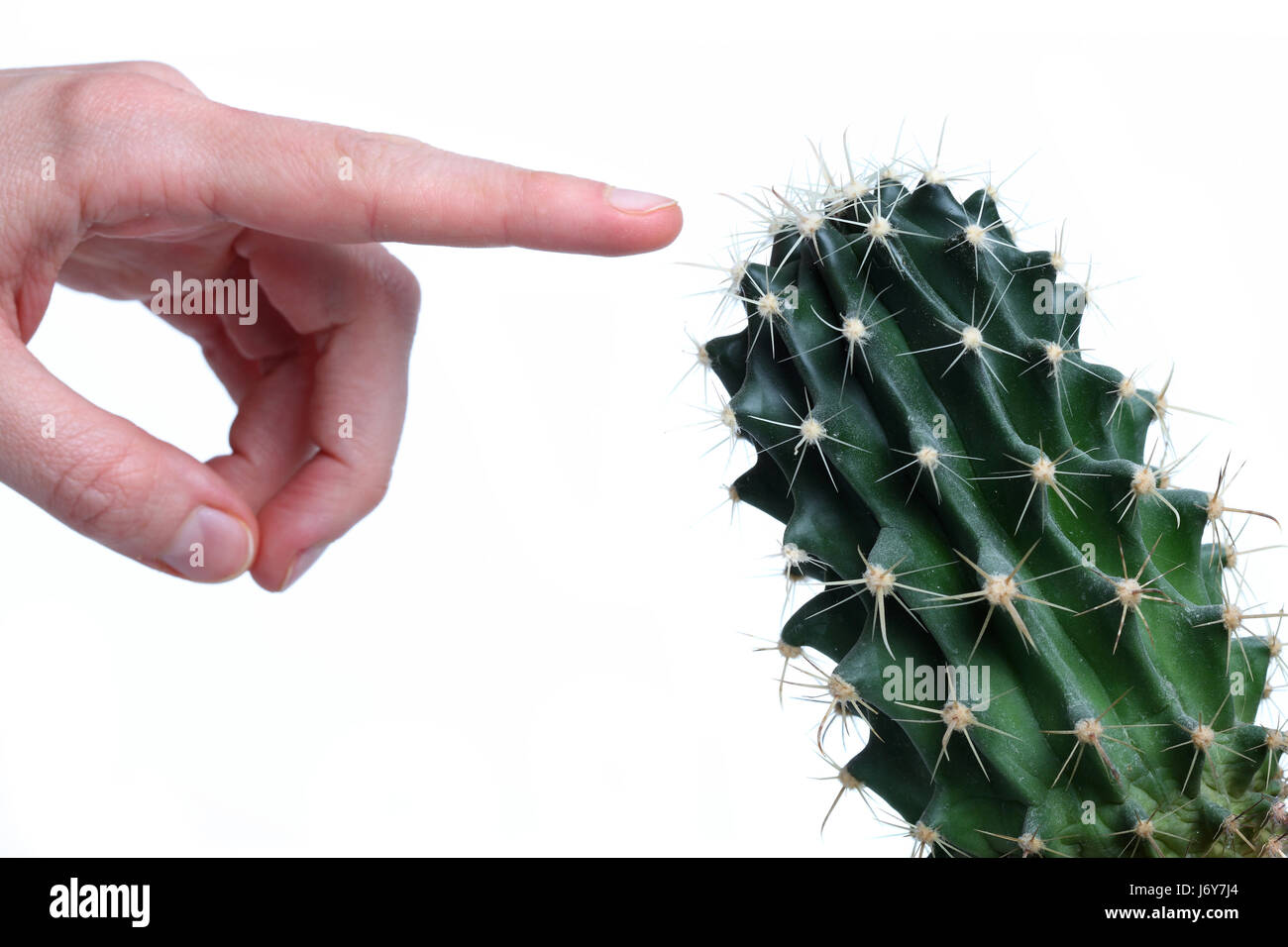 hand finger green pain cacti cactus danger hand finger model design