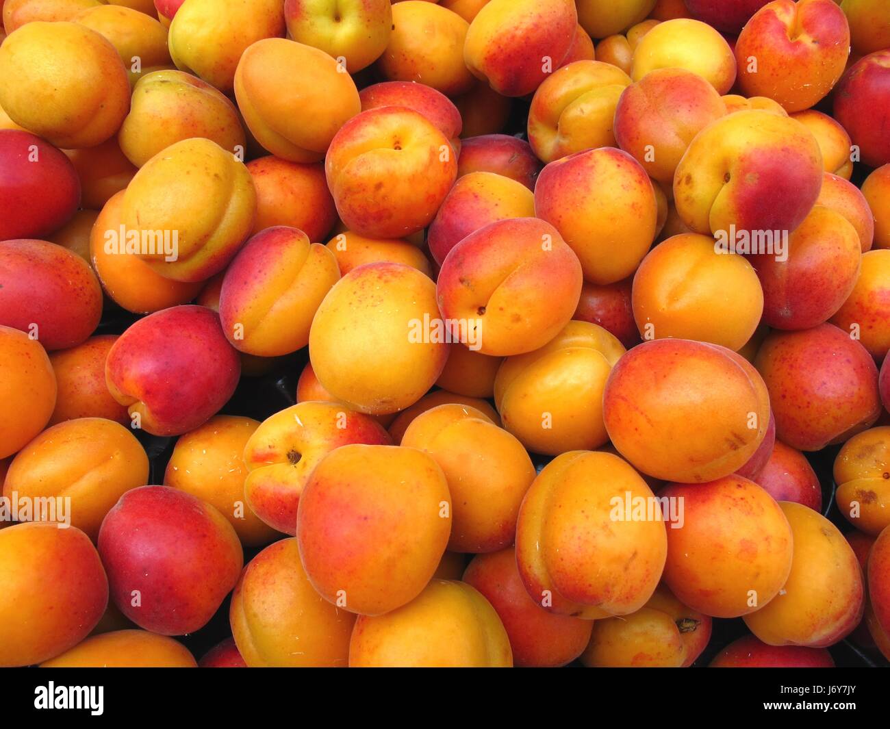 pome fruit apricot southern fruits apricots mirabelle yellow food