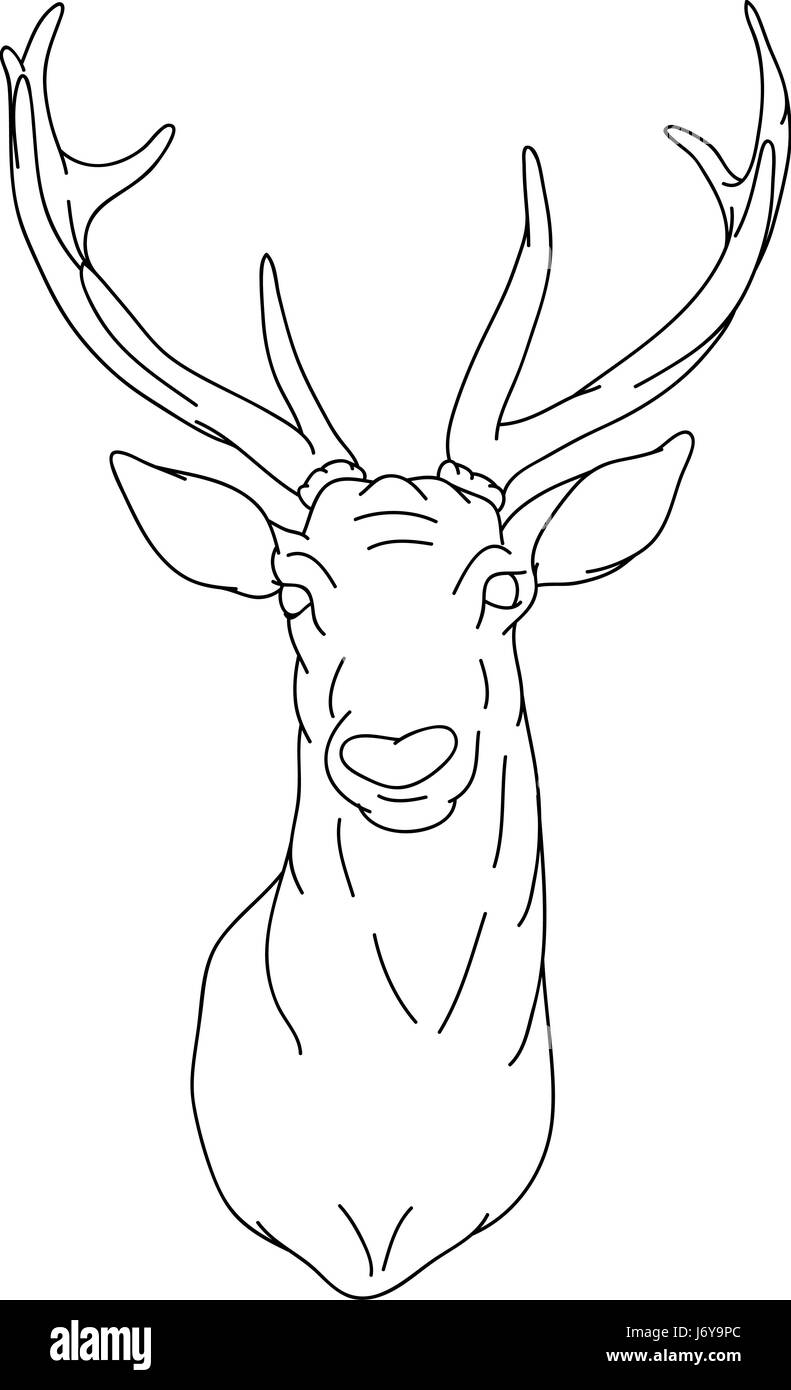 illustration paint draw deer cartoon color beautiful beauteously nice art  Stock Photo - Alamy