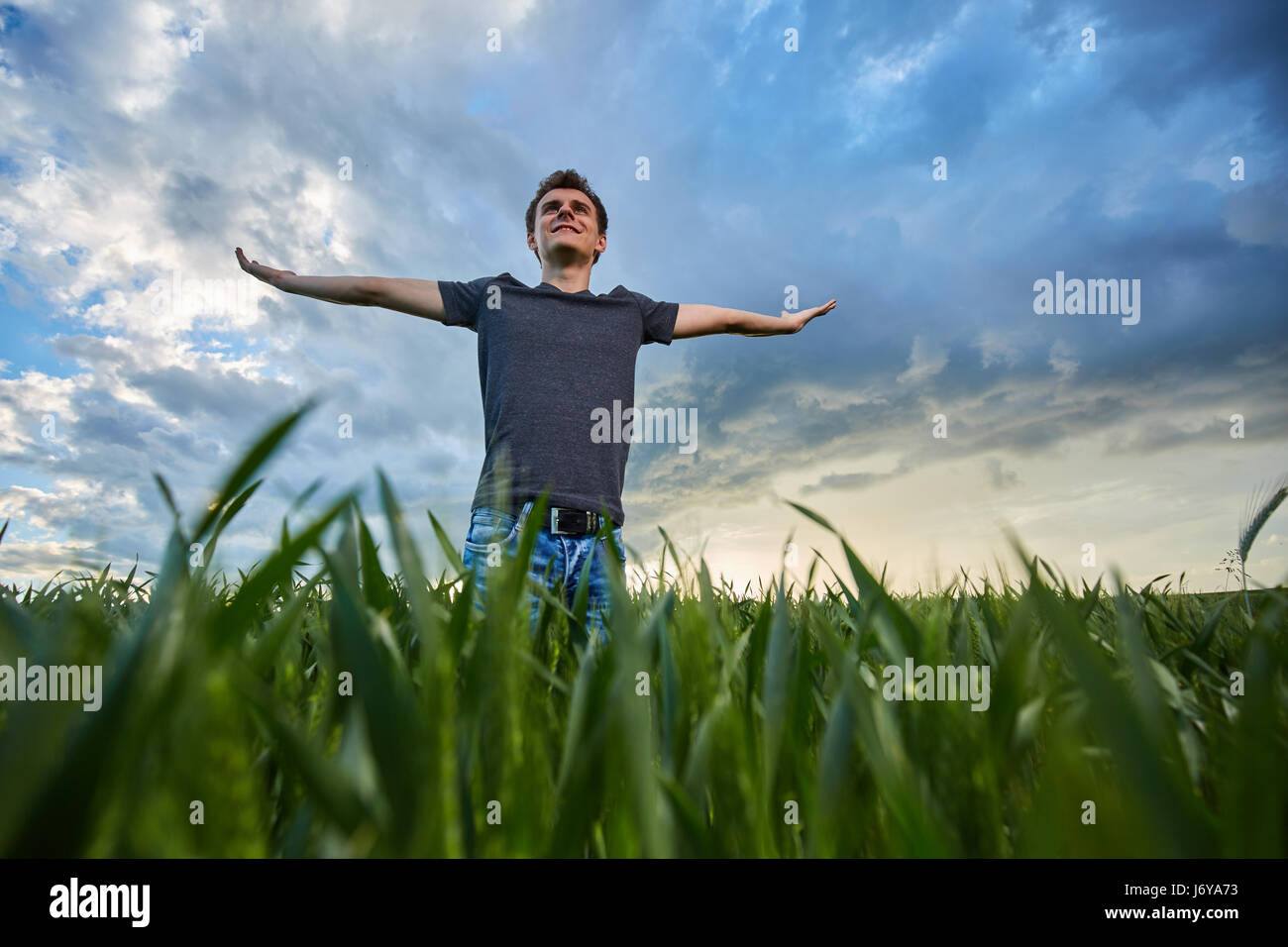 Teenage boy standing in a wheat field at sunset, closeup portrait Stock ...